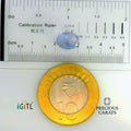 IGITL_197727_SCALE.webp