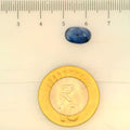 IGITL_197820_SCALE.webp