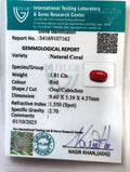 ITLGR_107162_CERTIFICATE.webp