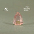 IGITL_201553_FRONT.webp