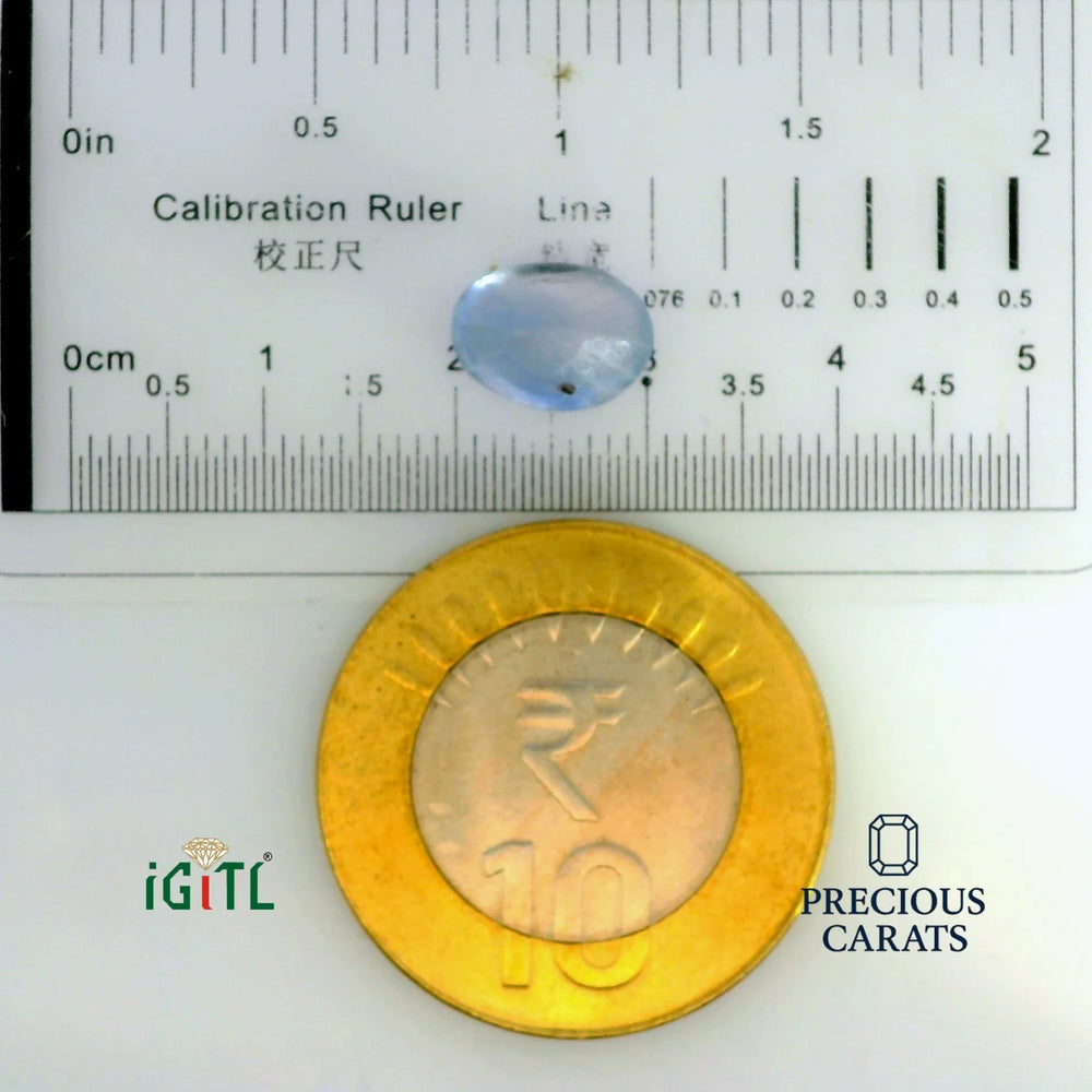 IGITL_197719_SCALE.webp