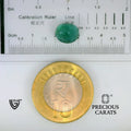 ITLGR_102209_SCALE.webp
