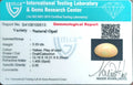 ITLGR_100513_CERTIFICATE.webp