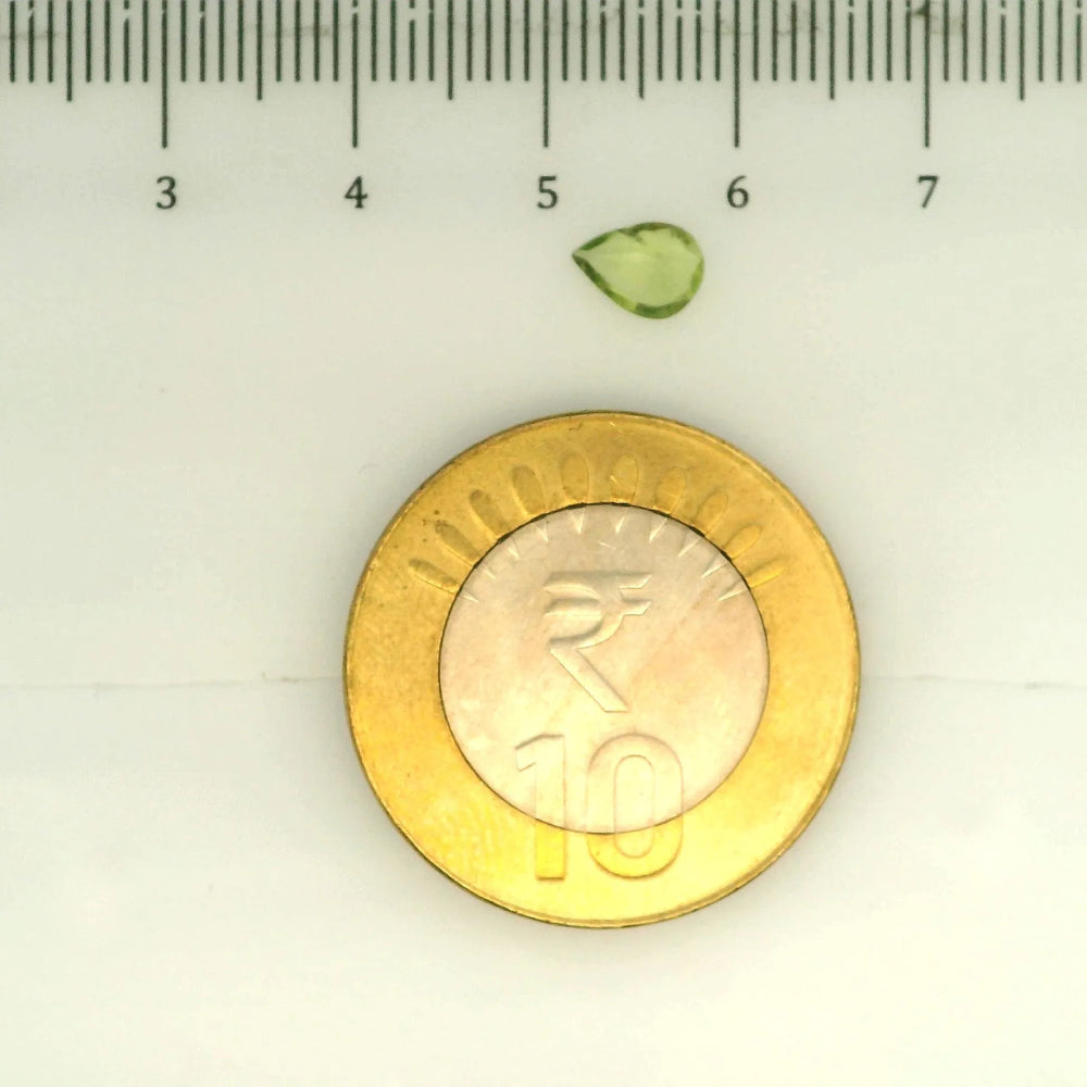 ITLGR_109381_SCALE.webp