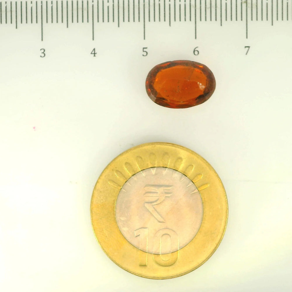 ITLGR_104434_SCALE.webp