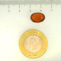 ITLGR_104434_SCALE.webp