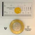 ITLGR_98879_SCALE.webp