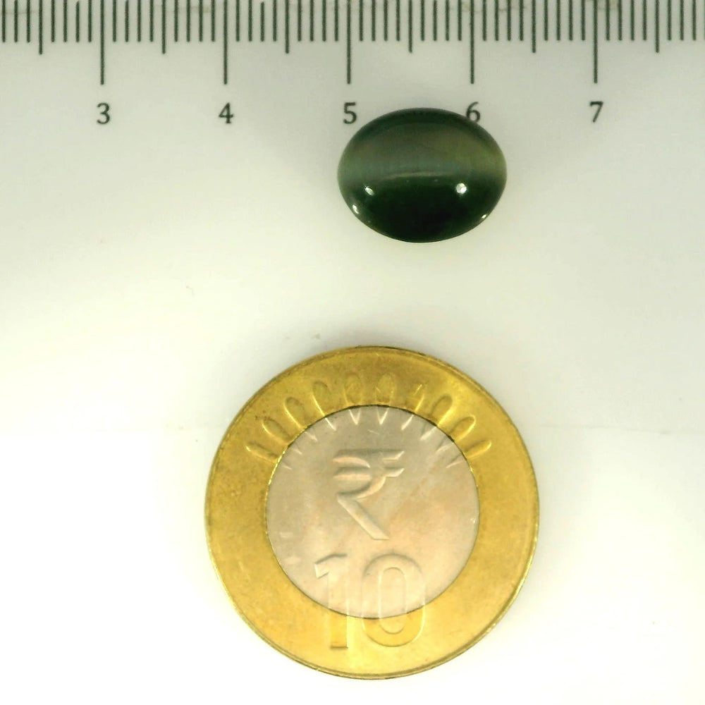ITLGR_107052_SCALE.webp