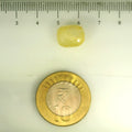 ITLGR_106762_SCALE.webp