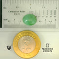ITLGR_105065_SCALE.webp