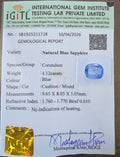 IGITL_211728_CERTIFICATE.webp