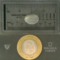 ITLGR_102066_SCALE.webp