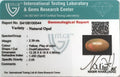 ITLGR_100544_CERTIFICATE.webp