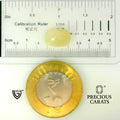 ITLGR_109955_SCALE.webp