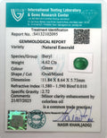 ITLGR_102095_CERTIFICATE.webp