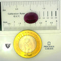 ITLGR_100281_SCALE.webp