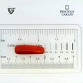 ITLGR_99875_SCALE.webp
