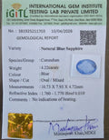 IGITL_211703_CERTIFICATE.webp