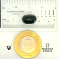 ITLGR_104551_SCALE.webp