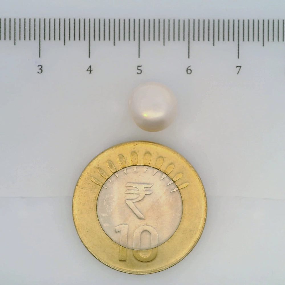 ITLGR_106974_SCALE.webp