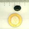 ITLGR_107193_SCALE.webp