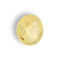 IGITL_211661_TOP.webp