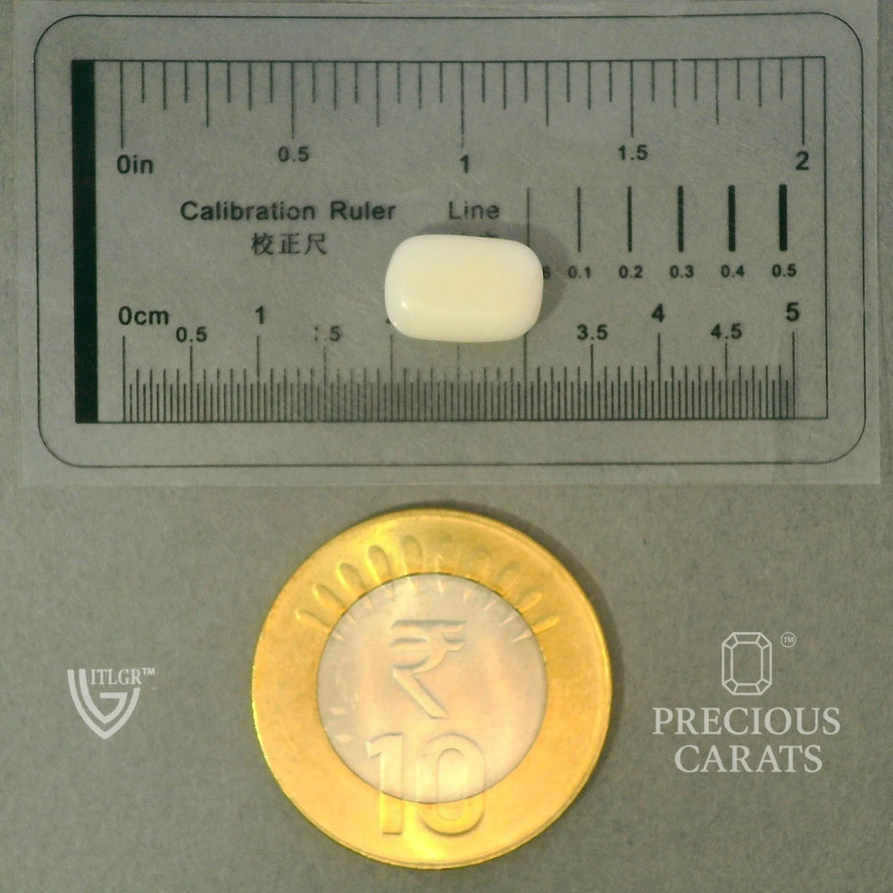 ITLGR_102030_SCALE.webp