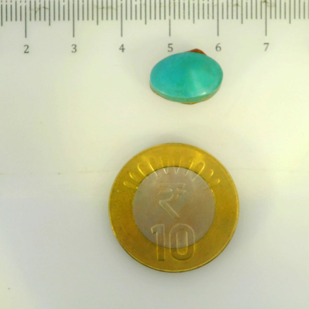 ITLGR_107265_SCALE.webp