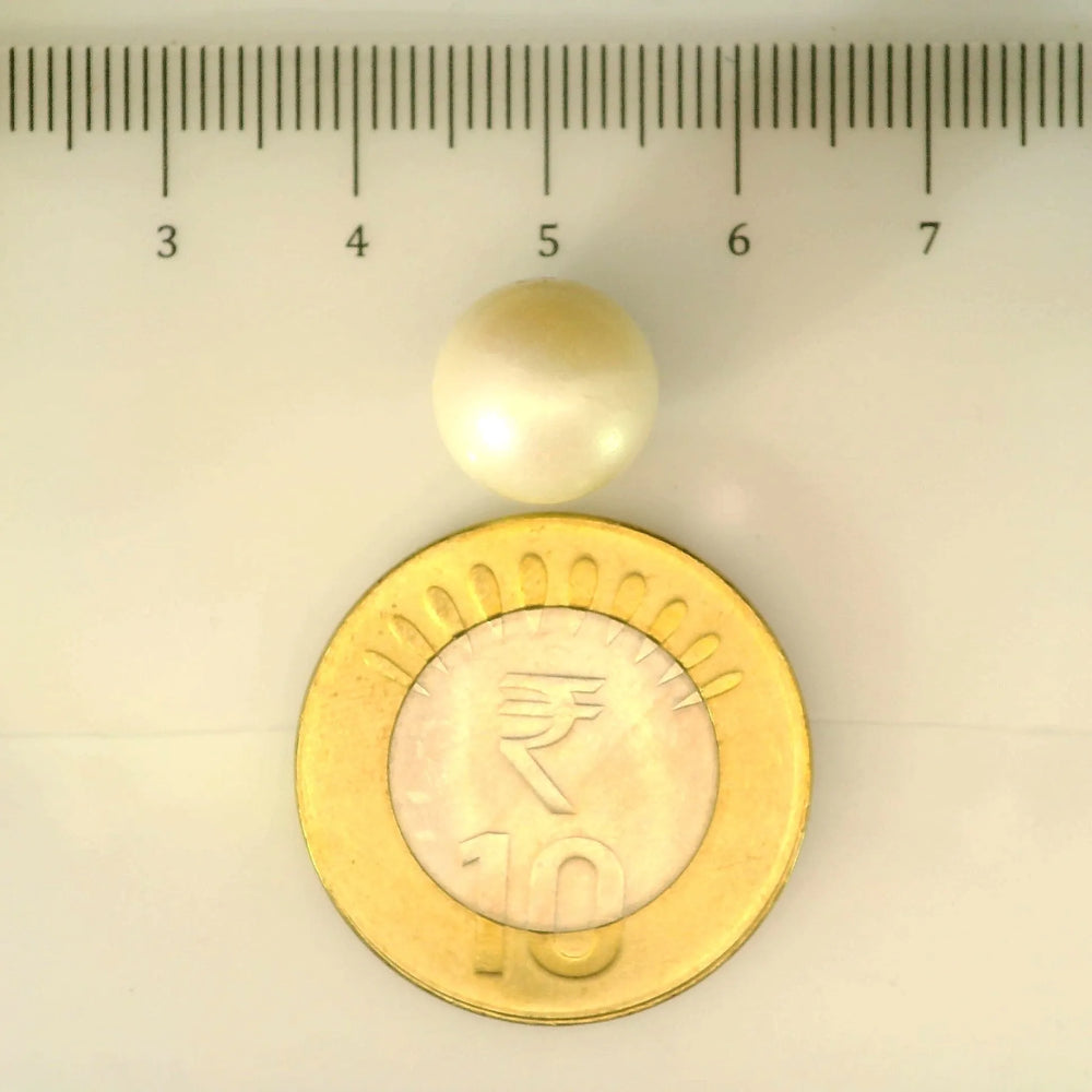 ITLGR_106893_SCALE.webp