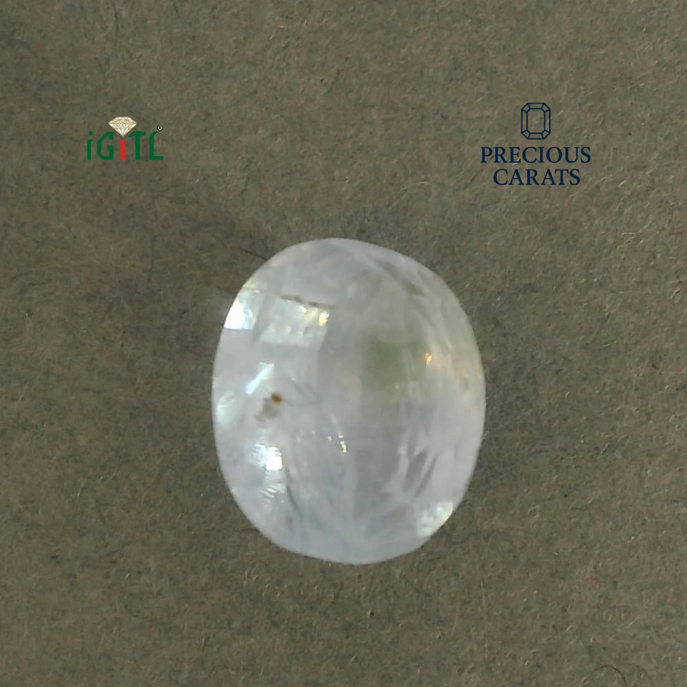 IGITL_200247_TOP.webp