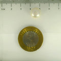 ITLGR_107019_SCALE.webp
