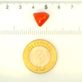 ITLGR_121407_SCALE.webp