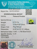 ITLGR_109365_CERTIFICATE.webp