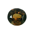 IGITL_200211_FRONT.png