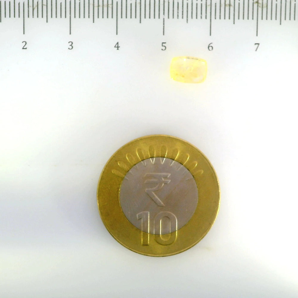 ITLGR_104984_SCALE.webp