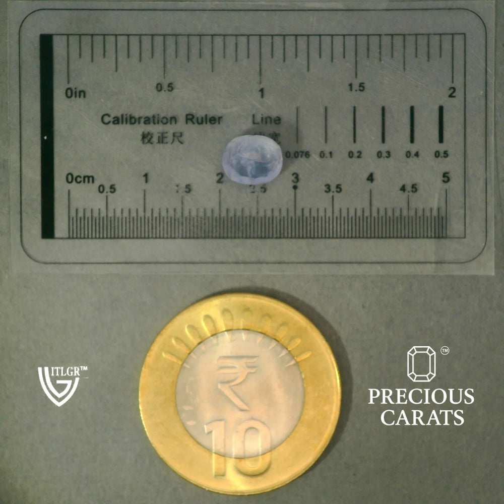 ITLGR_100457_SCALE.webp