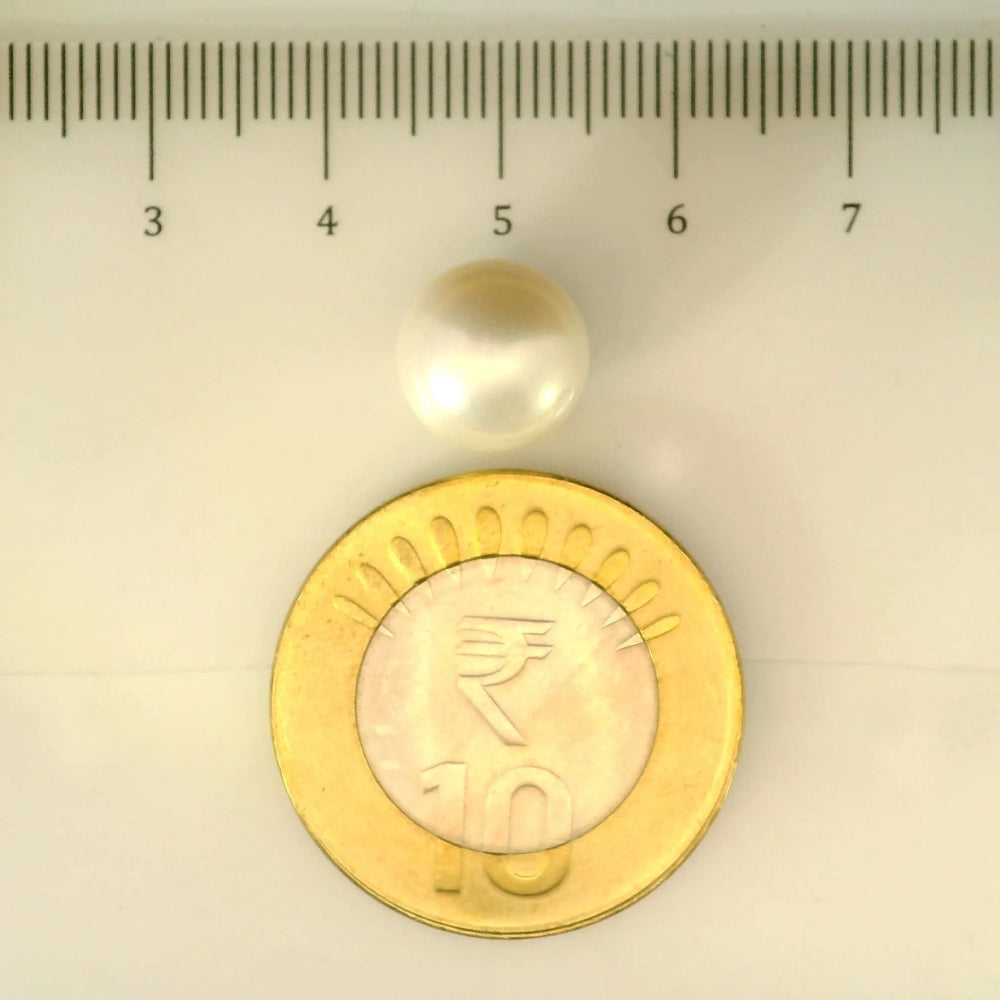 ITLGR_106997_SCALE.webp