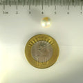 ITLGR_99862_SCALE.webp
