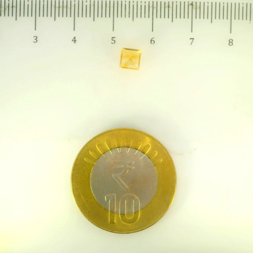 ITLGR_113308_SCALE.webp