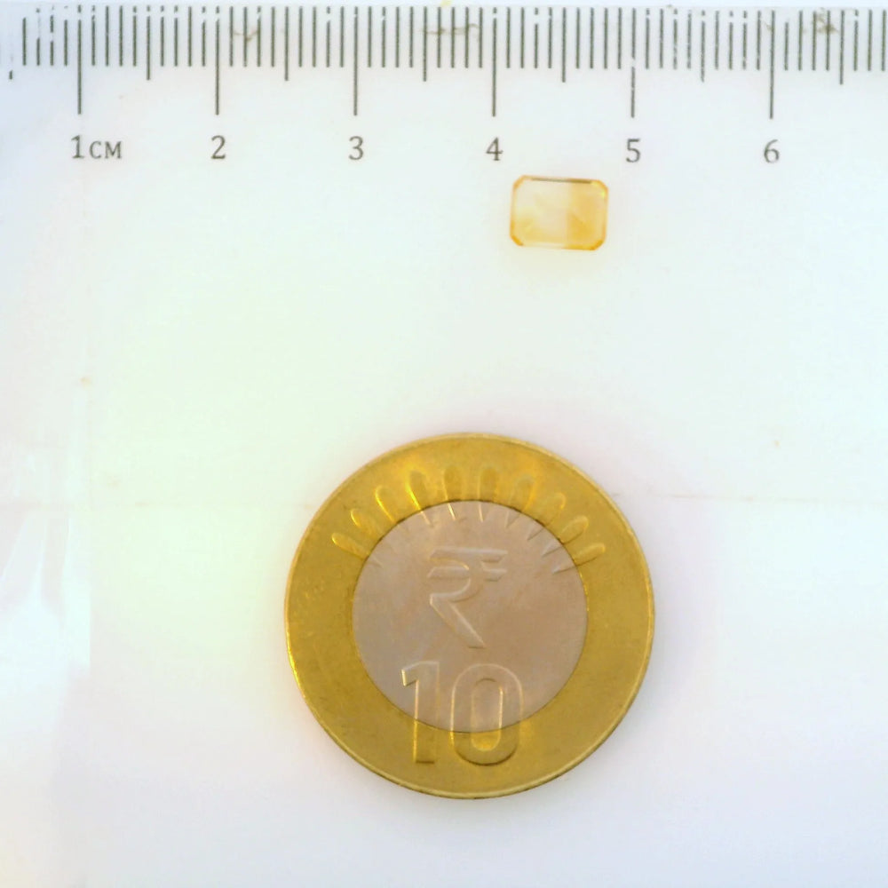 ITLGR_113341_SCALE.webp