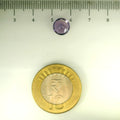 ITLGR_113100_SCALE.webp