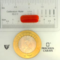 ITLGR_104528_SCALE.webp