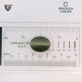 ITLGR_100588_SCALE.webp
