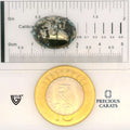 ITLGR_100849_SCALE.webp