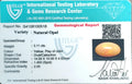 ITLGR_100518_CERTIFICATE.webp