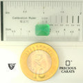 ITLGR_102115_SCALE.webp