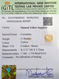 IGITL_200262_CERTIFICATE.webp