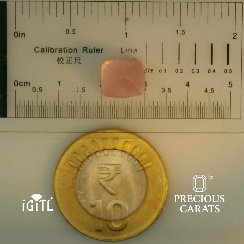 IGITL_197826_SCALE.webp
