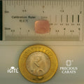 IGITL_197826_SCALE.webp