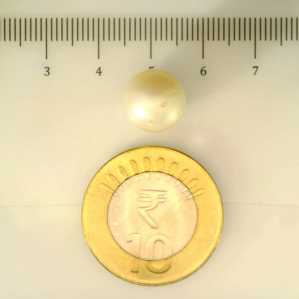 ITLGR_106921_SCALE.webp